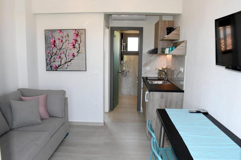 Theano Luxury Suites Nikiti 외부 사진